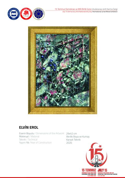 ELVİN EROL